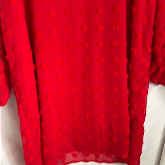 Vibrant Red, Lined, Textured Dress, Size XL - Picture 3 of 12